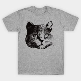 British Longhair gift for British Longhair Cat Owners T-Shirt